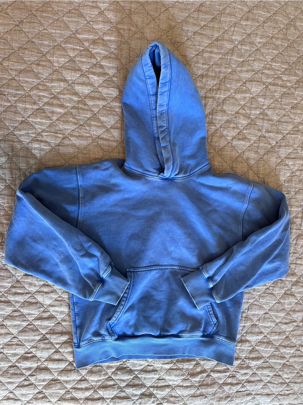 Aritzia Royal Blue Sweatfleece Hoodie